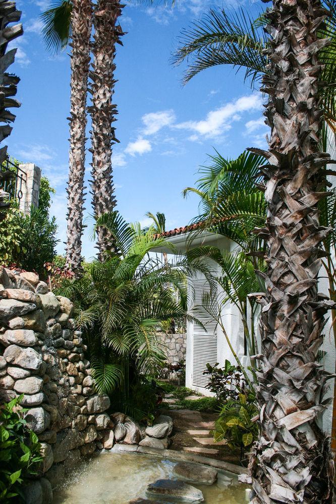 Casa Juan Hotell San José del Cabo Eksteriør bilde